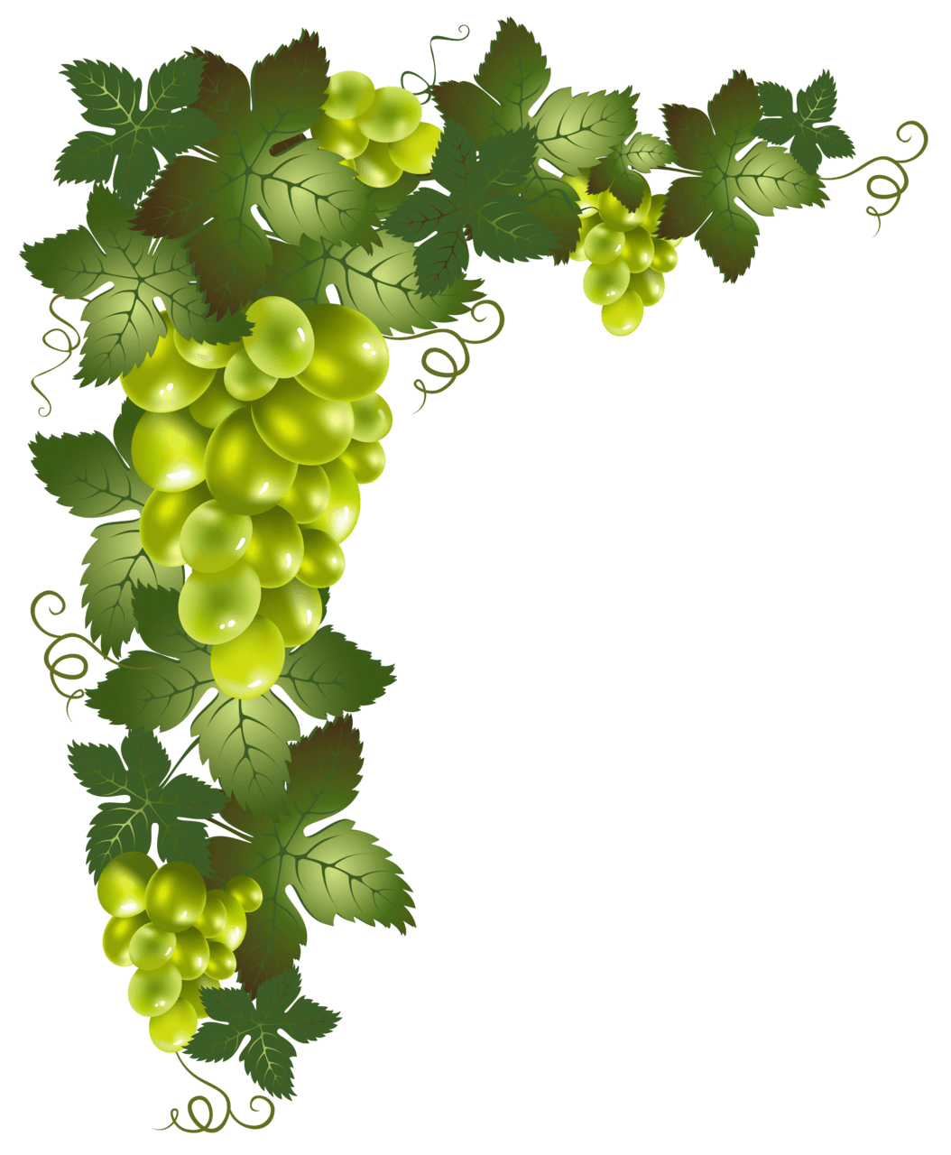 Vine pin page clipart photo 3
