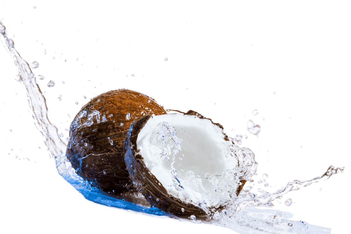 Coconut image clipart