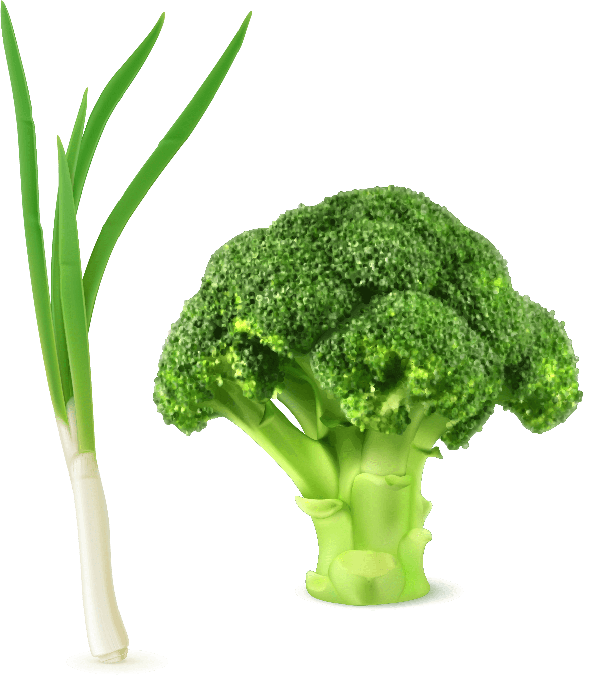 Broccoli image size clipart 5