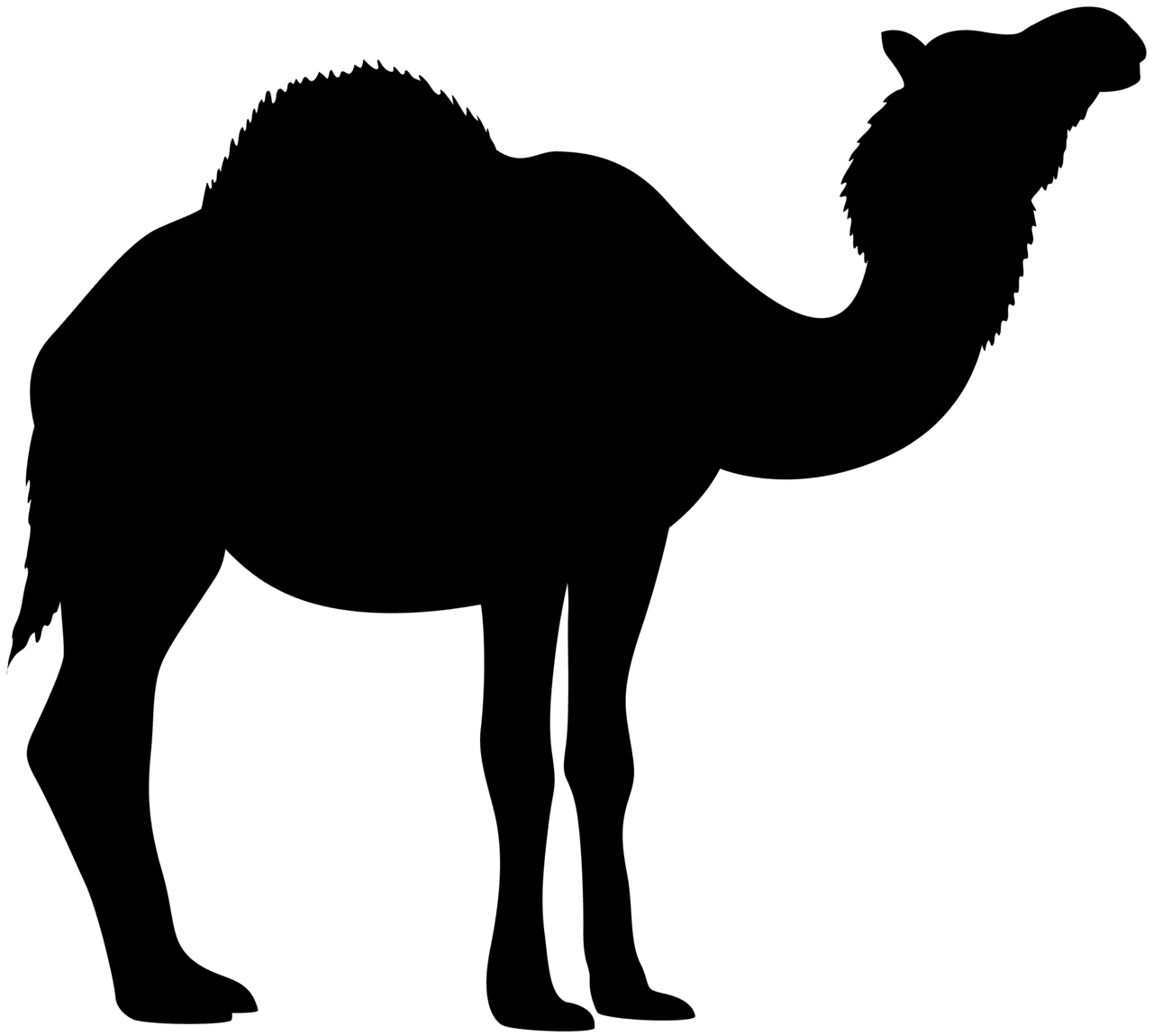 Camel pin page clipart image 2