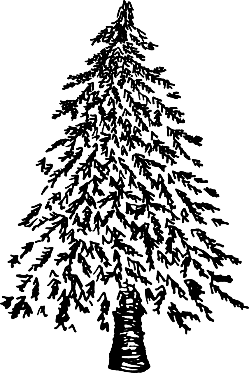 Christmas tree black and white graphics clipart logo