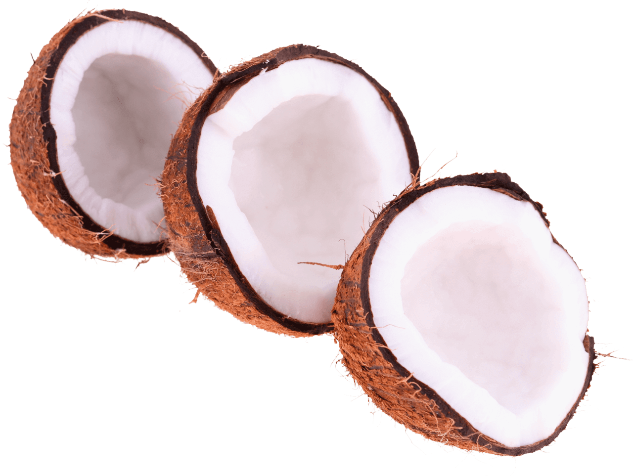 Coconut nutrition clipart clip art