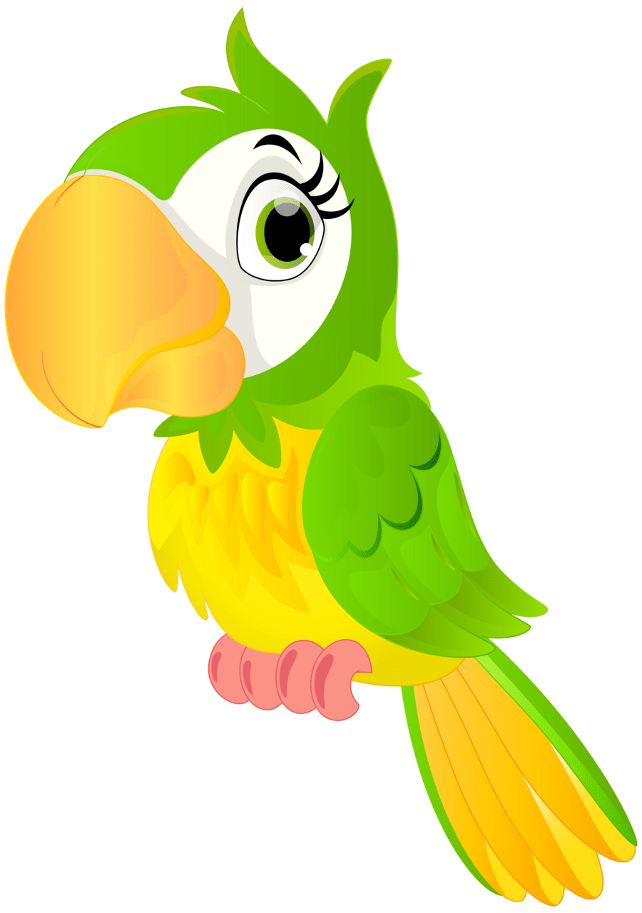 Cute animal parrot cartoon clipart image