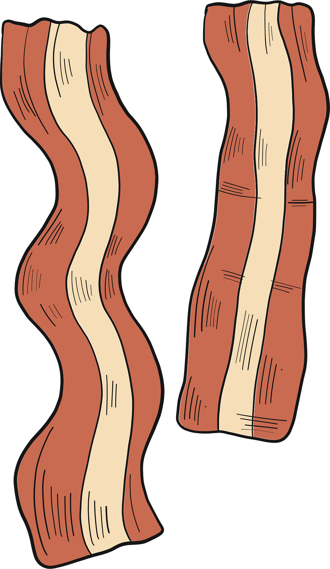 Bacon vector clipart images 4