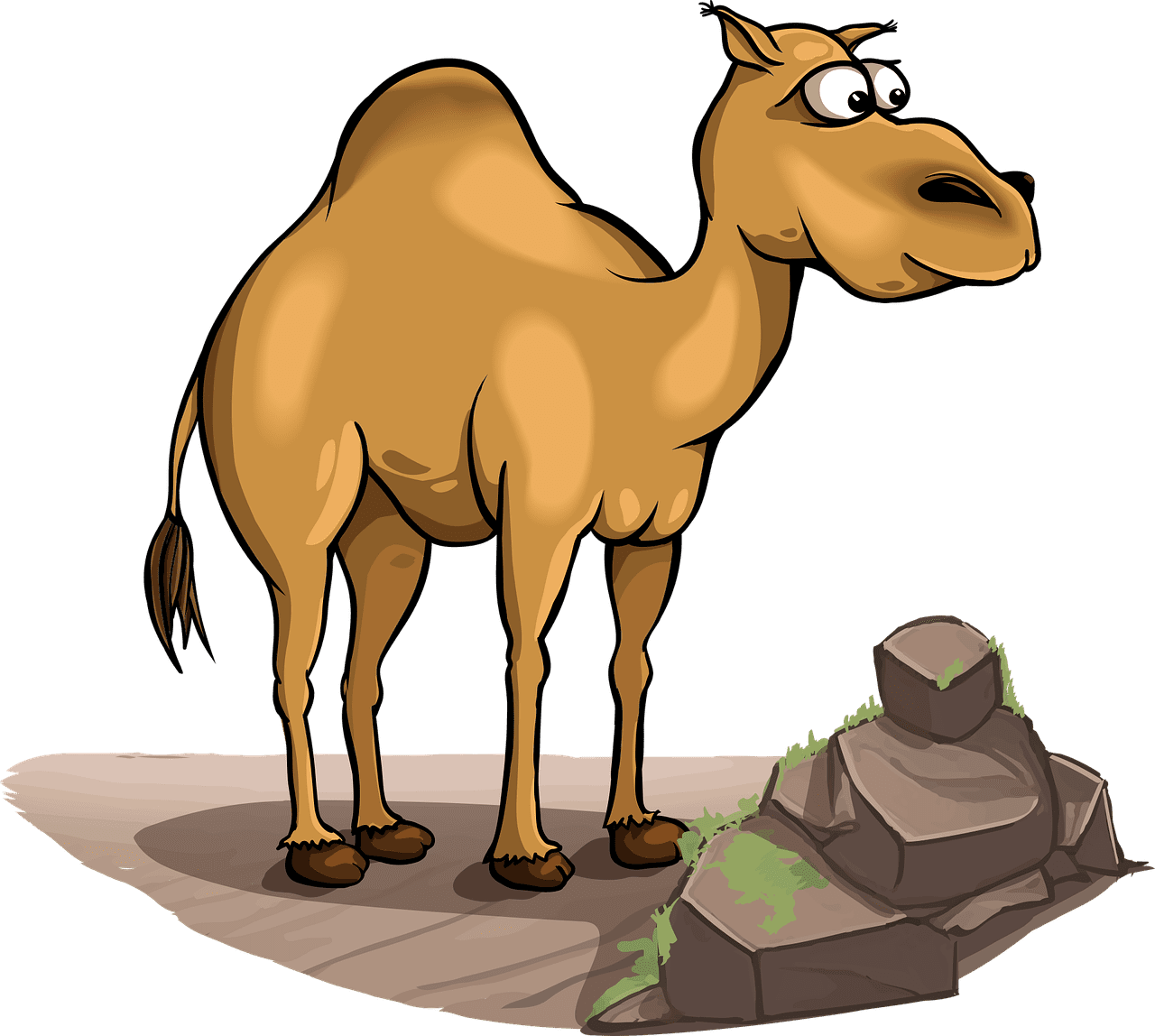 Dromedary camel vector art graphics clipart