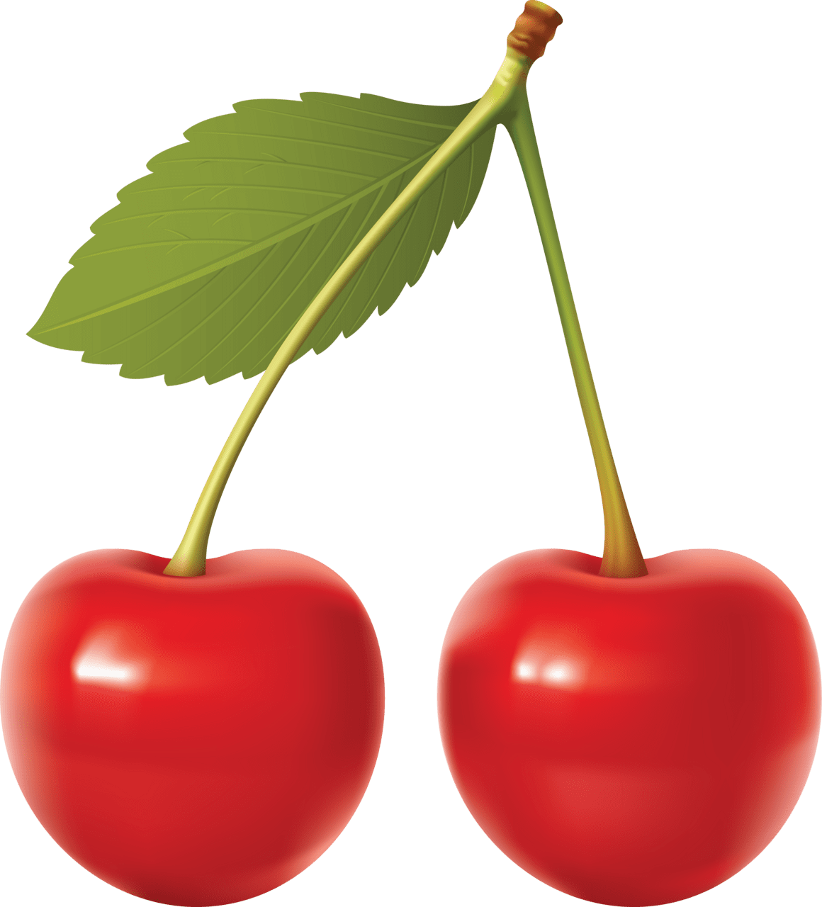 Fruits cherries clipart logo