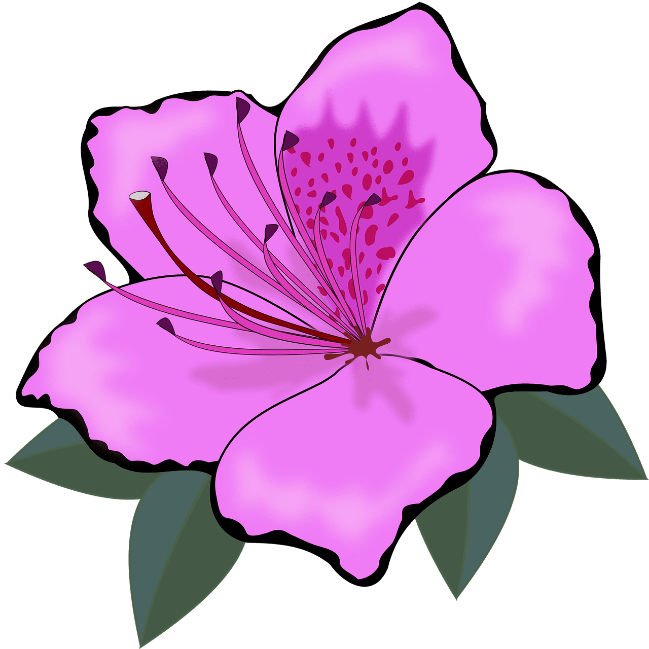 Clipart fleur flore image vectorielle gratuite ur pixabay