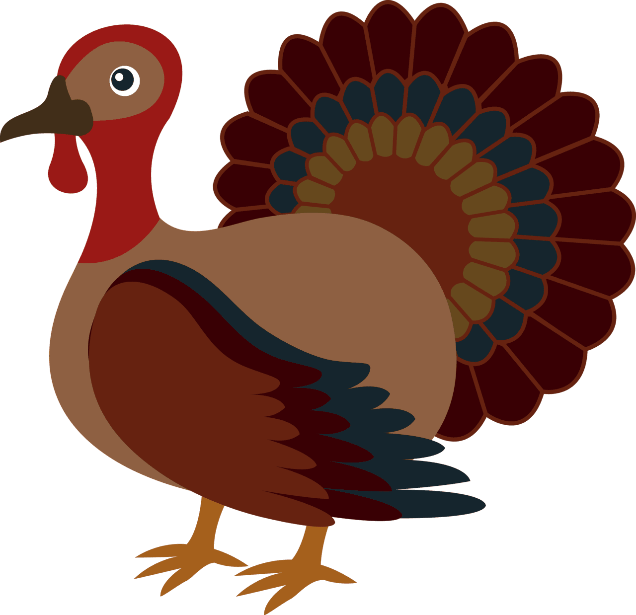 Cute turkey thanksgiving facts clipart background