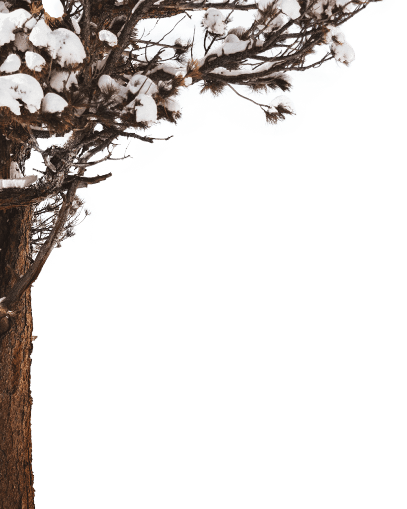 Ter snowfall edit background full hd clipart