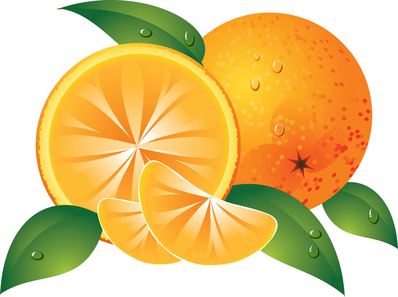 Fruits oranges clipart vector