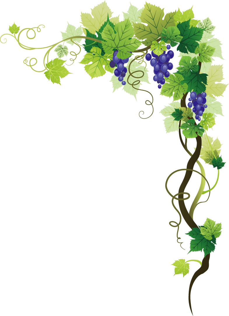 Graphic mon picture frame clipart grape vine border large size image