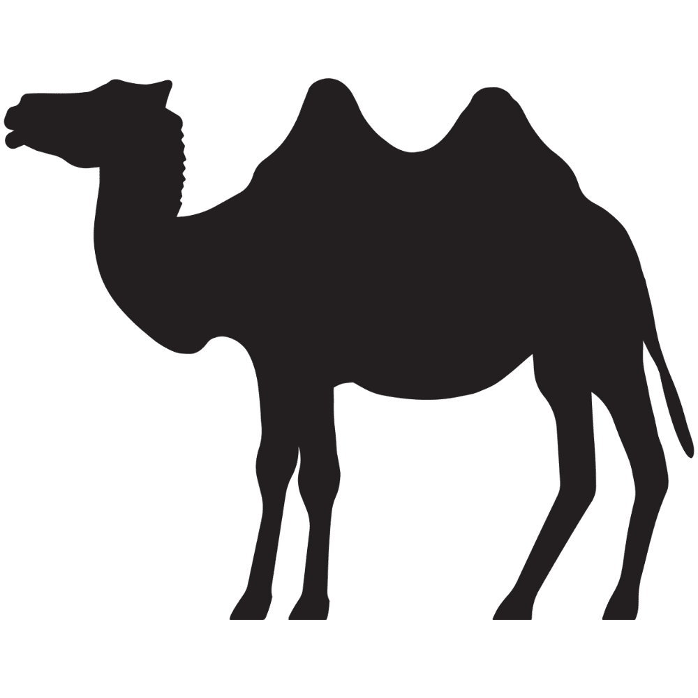 Camel silhouette images hd photo clipart