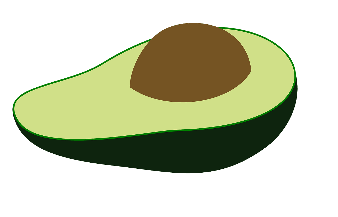 Avocado fruit ripe vector graphic clipart