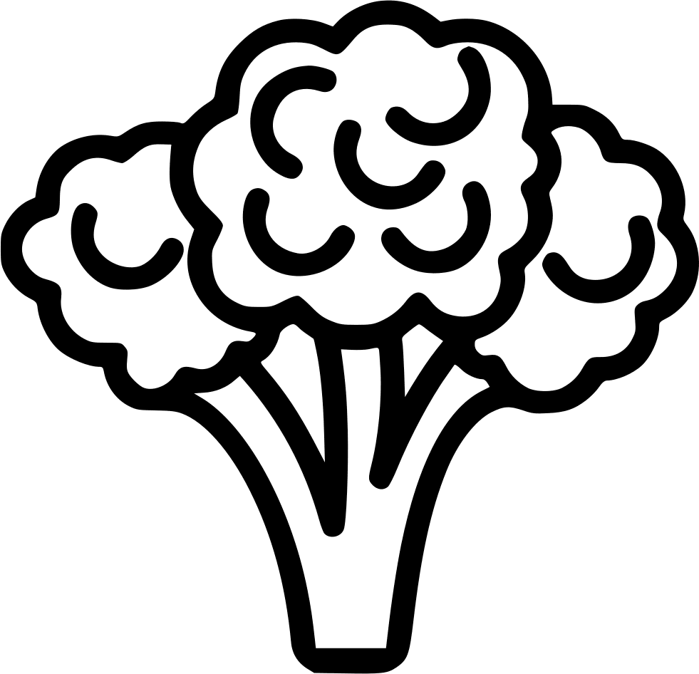 Broccoli brocoli clipart photo