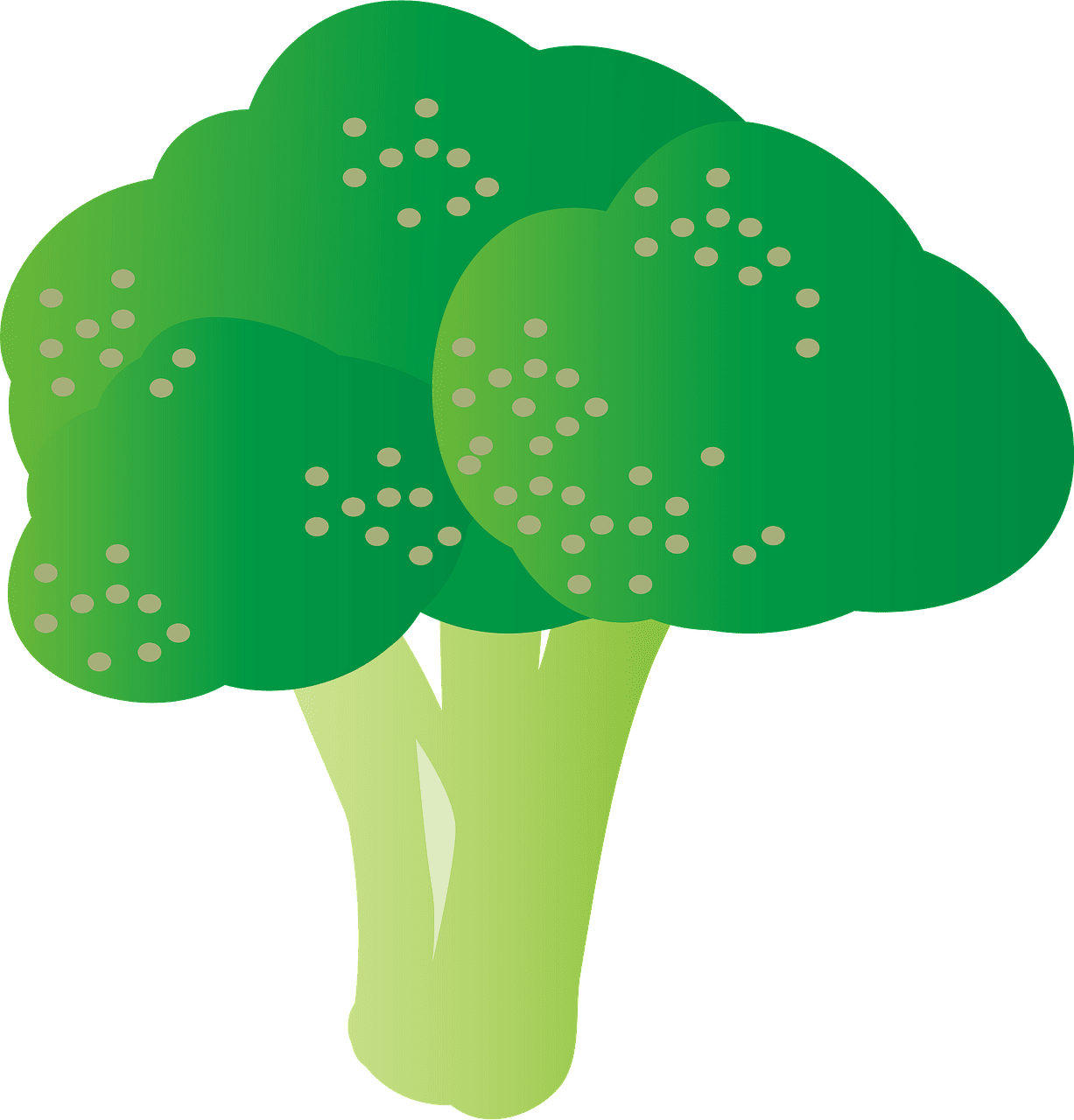 Broccoli vector clipart images 4