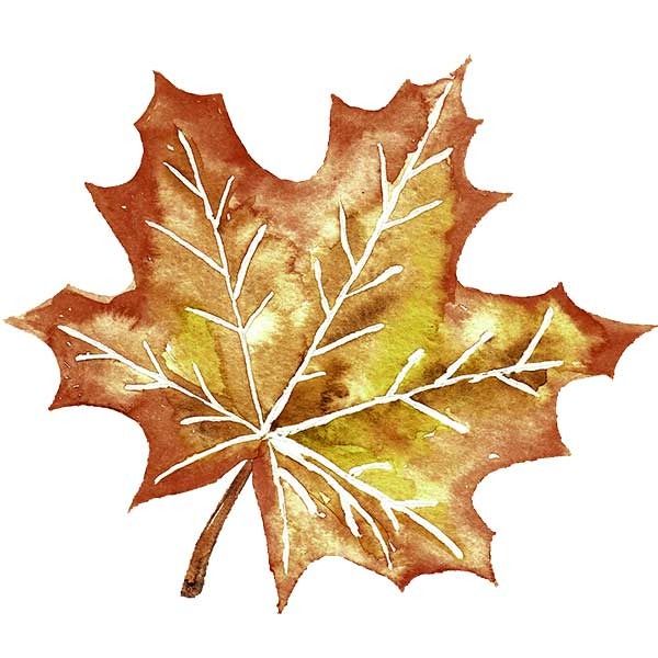 Autumn leaf pin page clipart image