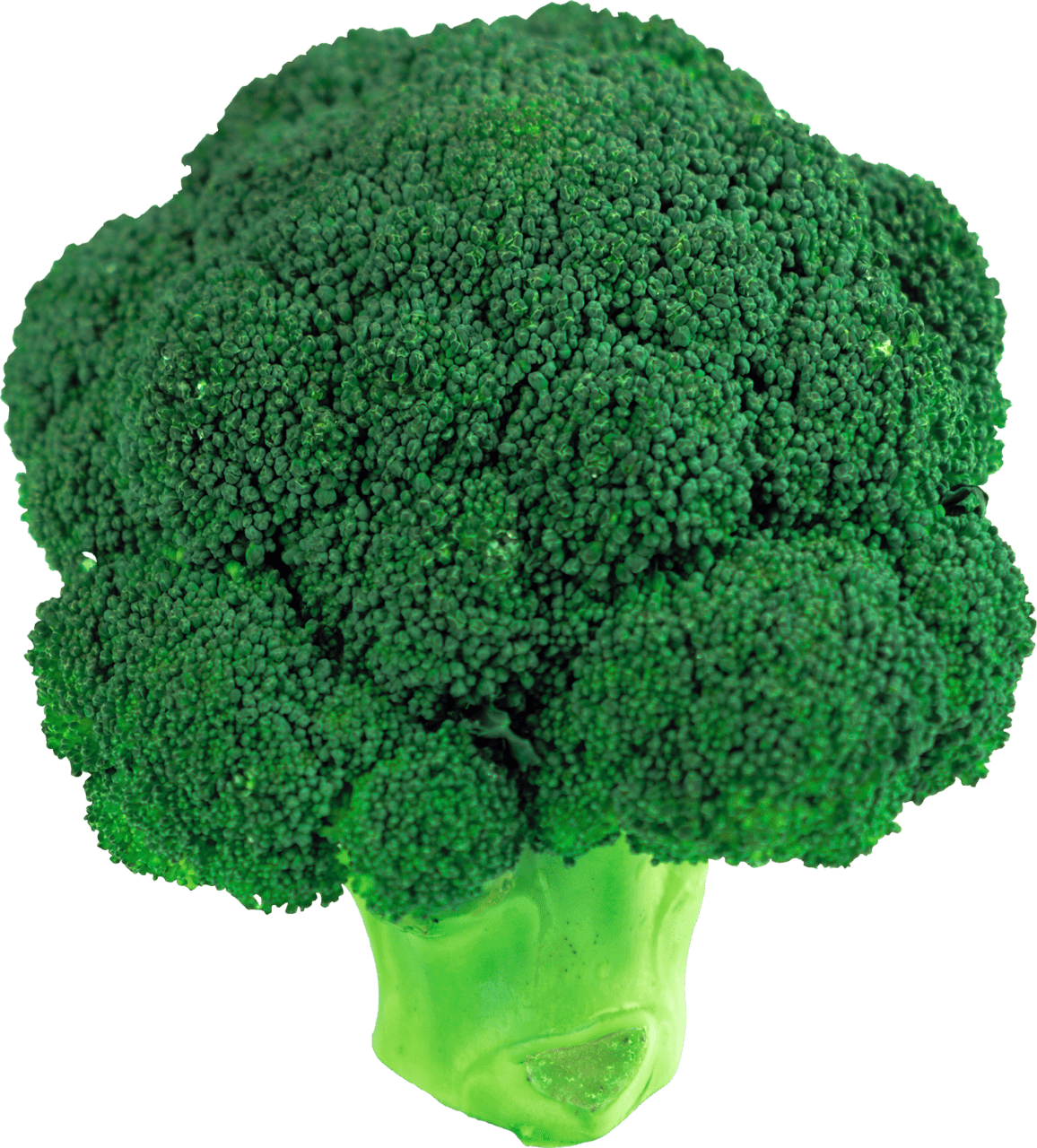 Broccoli clipart background image with no