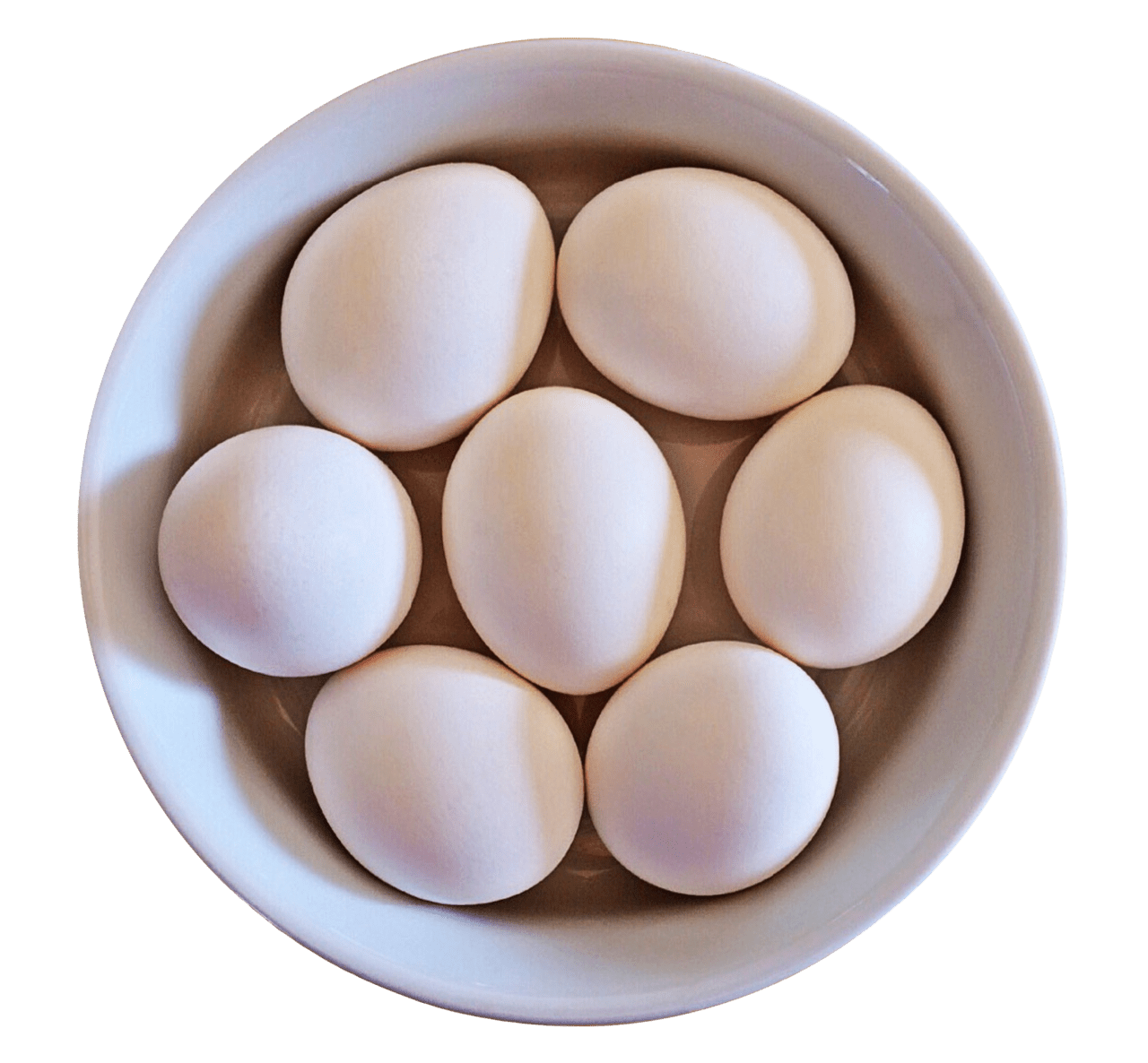 For egg eggs in bowl clipart clip art