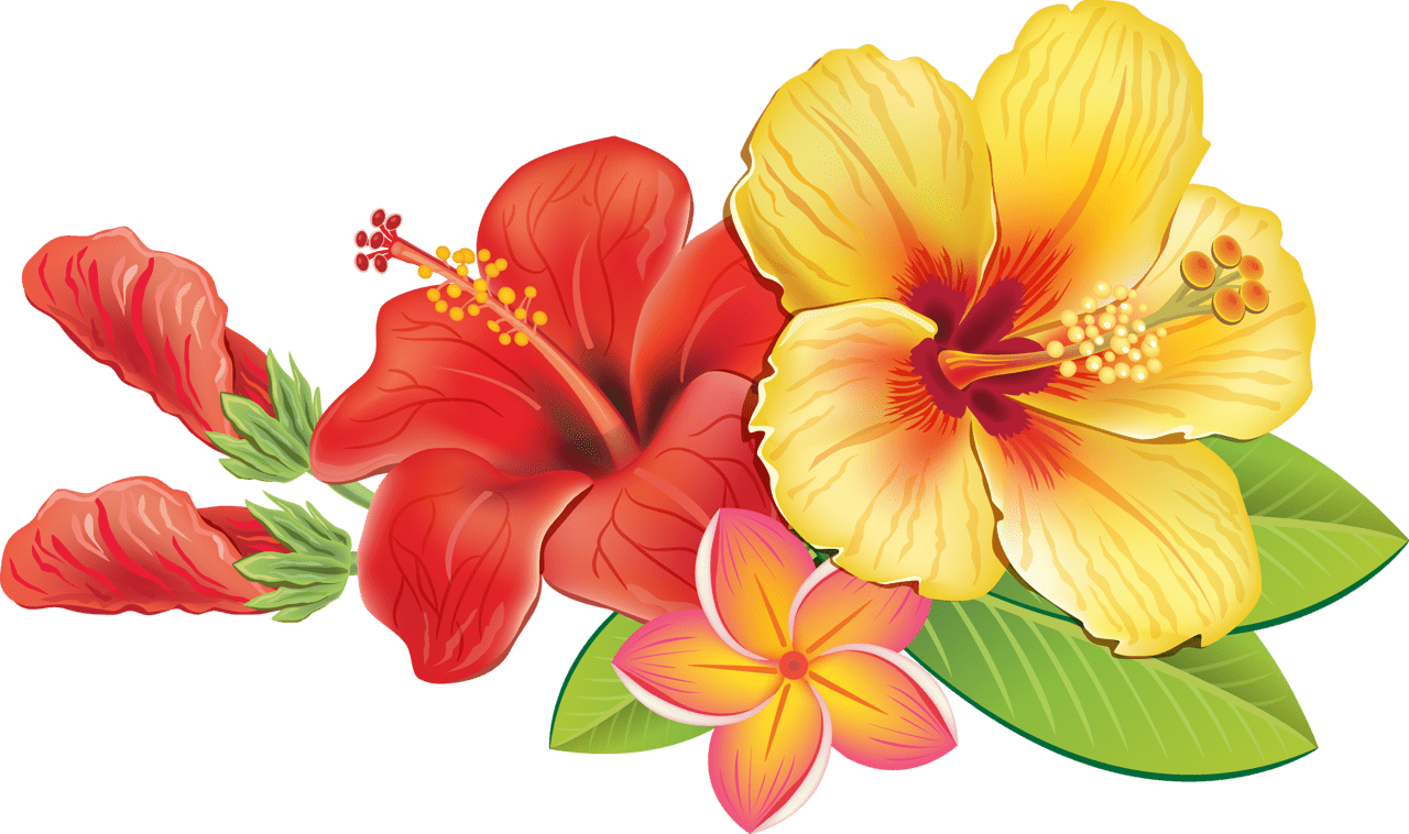 Hawaii clipart photo