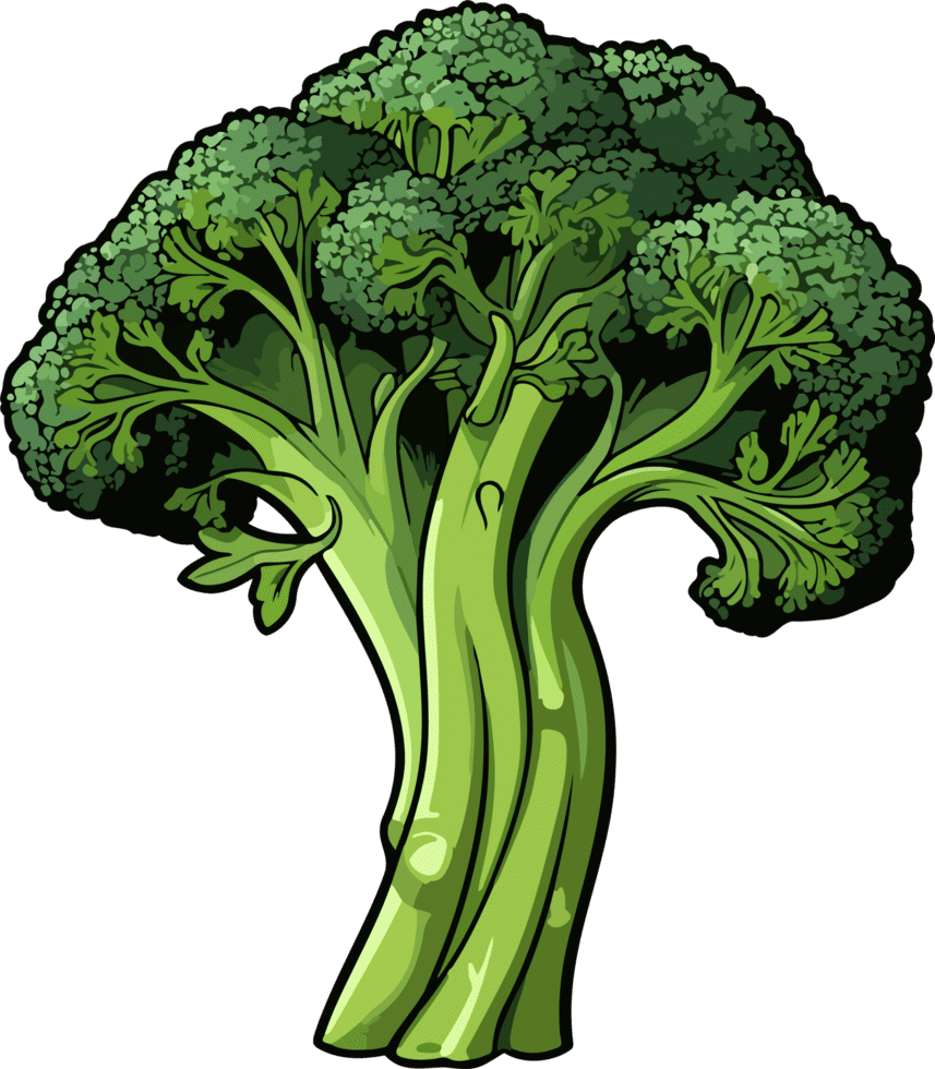 Broccoli clipart design background