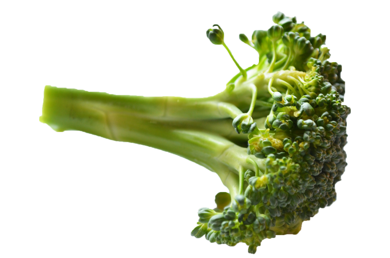 Broccoli image cc library clipart 3