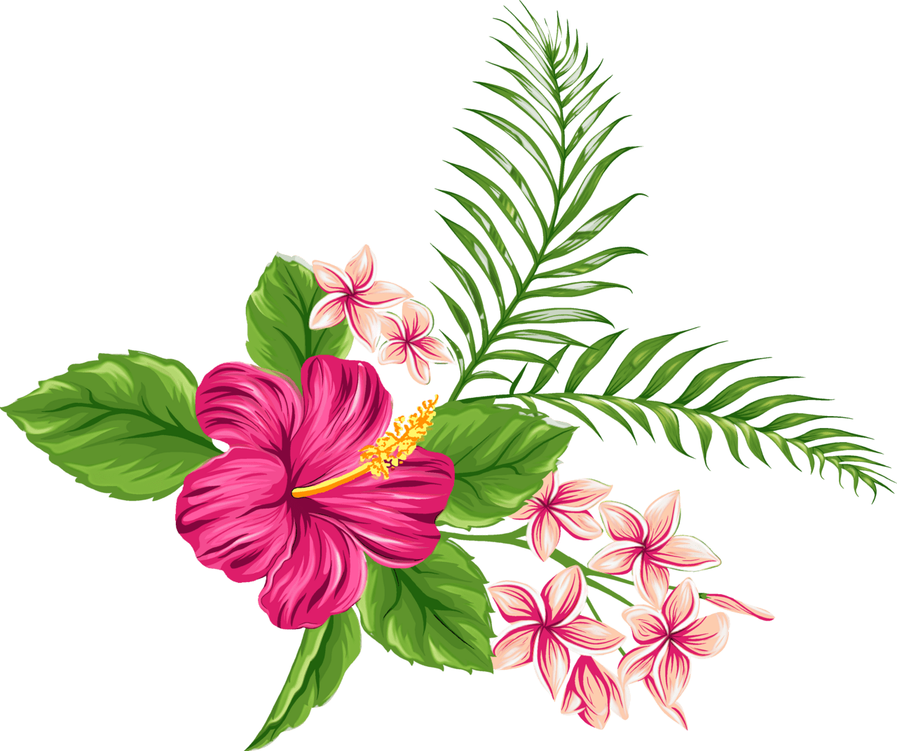 Hawaii beautiful botanical flower drawing clipart image