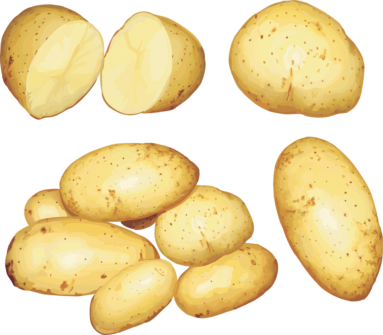 Potato image for clipart 2
