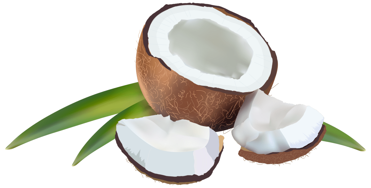Coconut water milk clipart images clip art