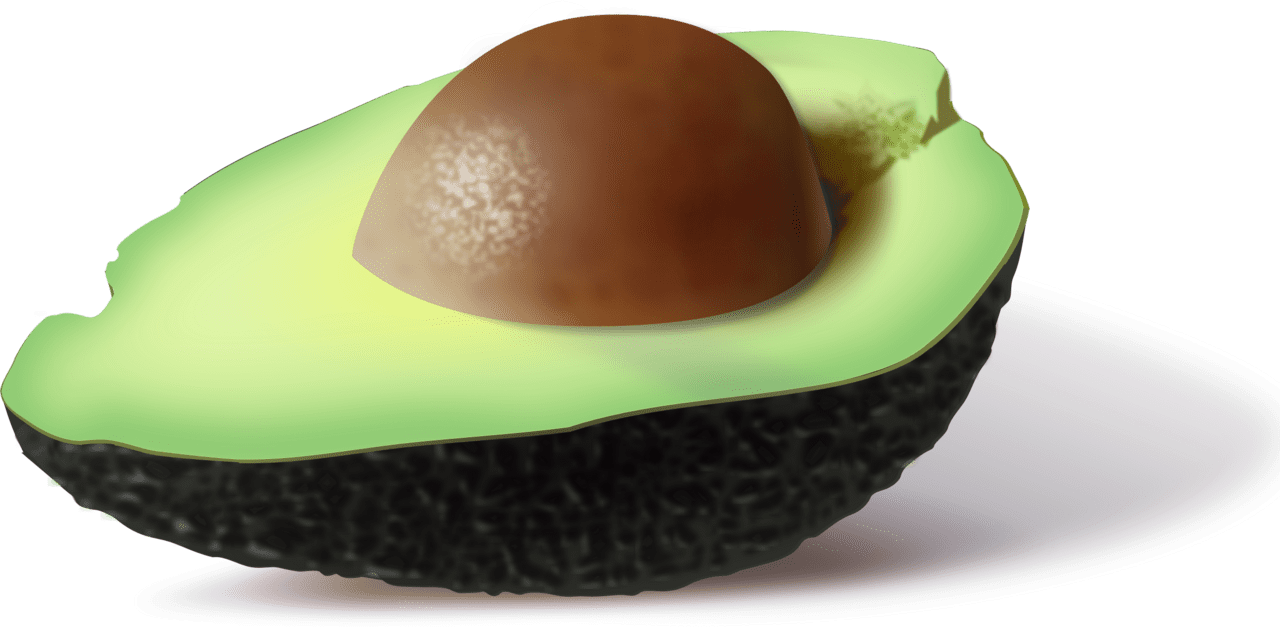 Cutted avocado image size clipart