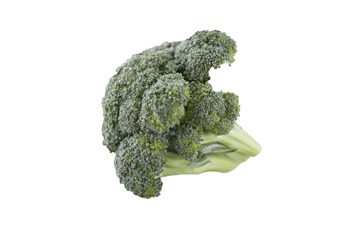 Broccoli image cc library clipart 2