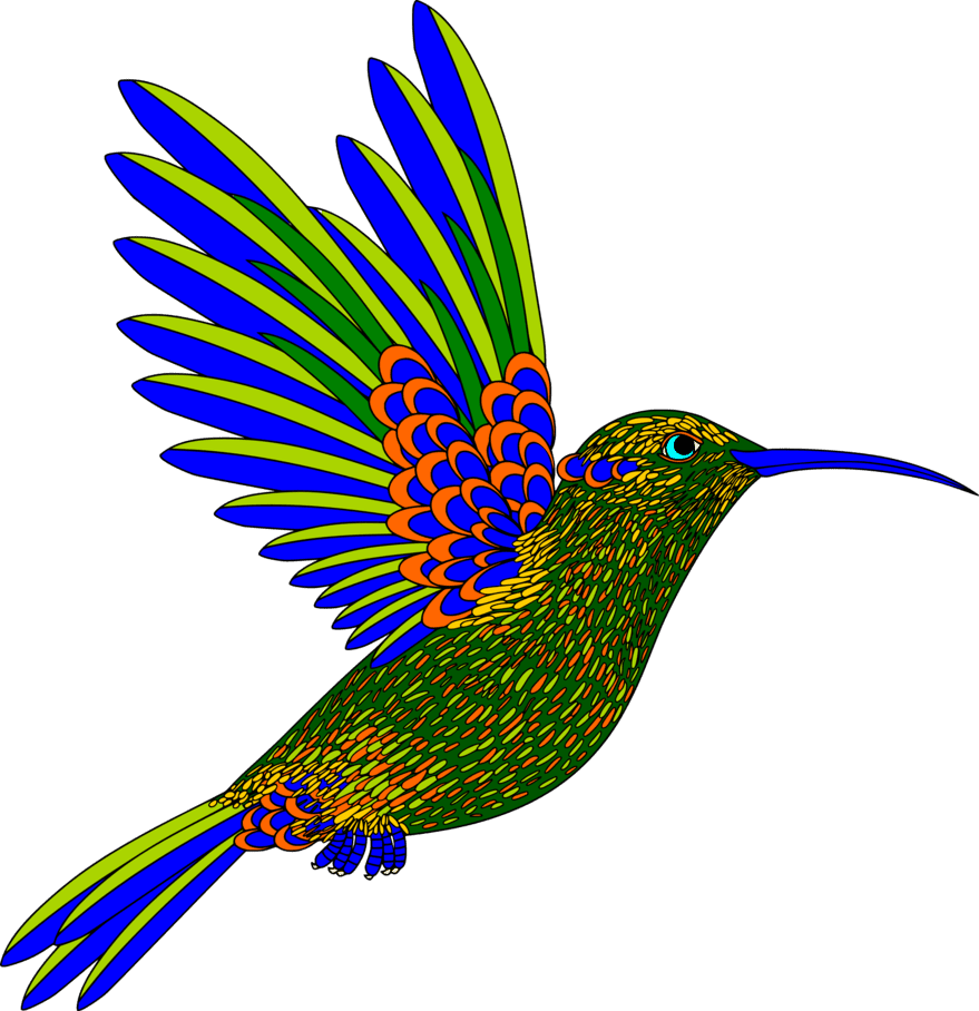 Hummingbird colibri aves colores planos by creaciones jean deviantart clipart logo