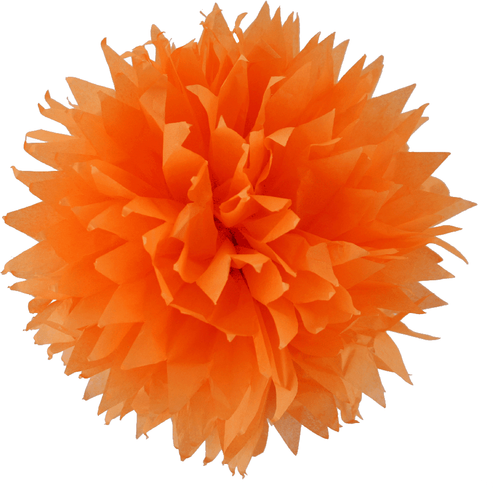 Pom craft soft colorful decor clipart photo