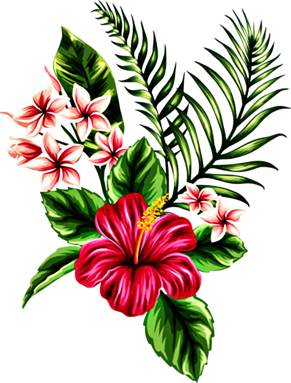 Hawaii pin page clipart image 5