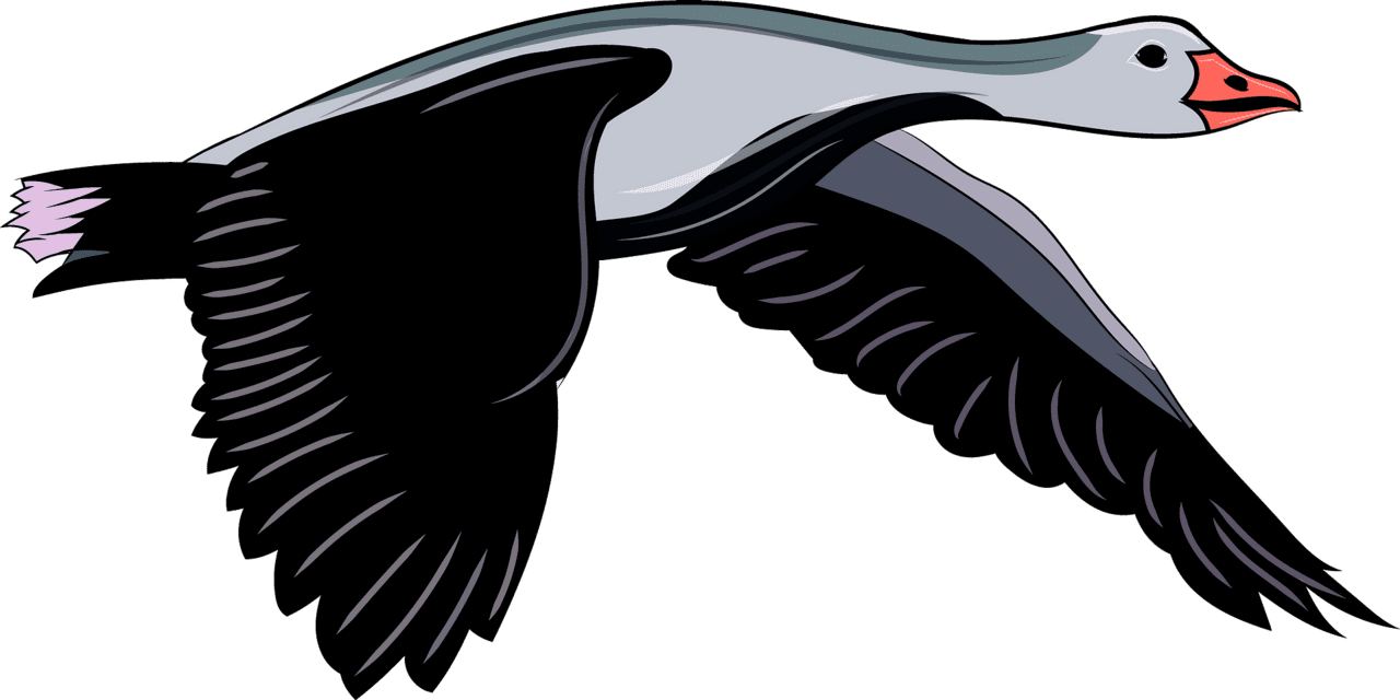 Goose in flight vector clipart images