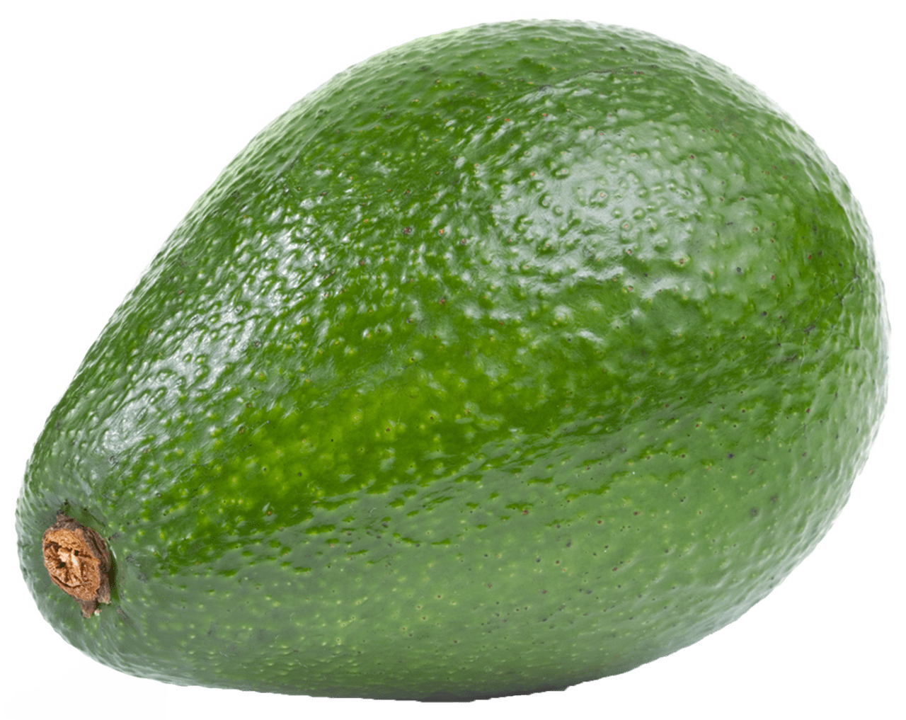 Large avocado clipart photo