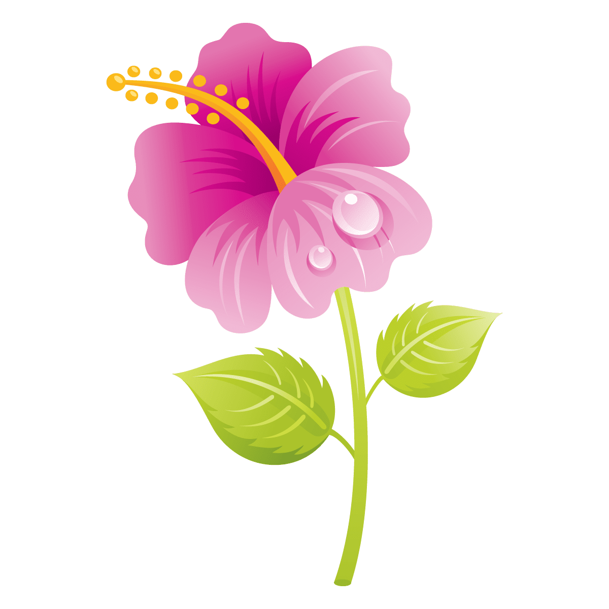 Hawaii flowers clipart large images