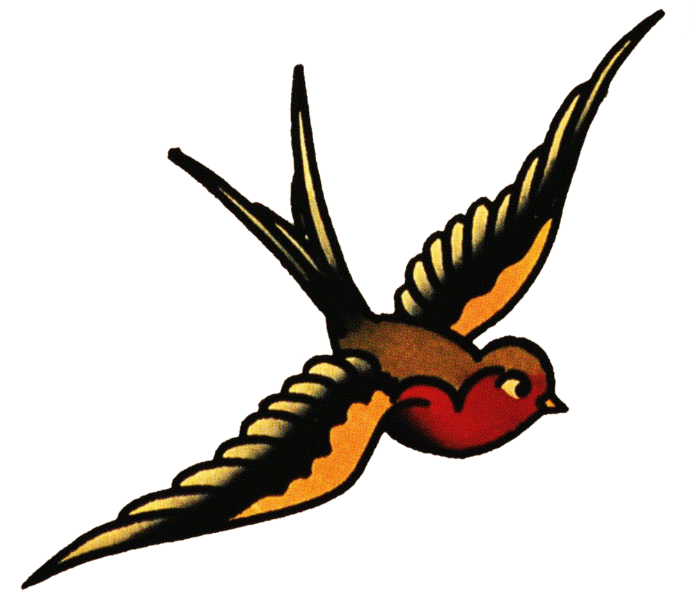 Hummingbird pin page clipart photo 2