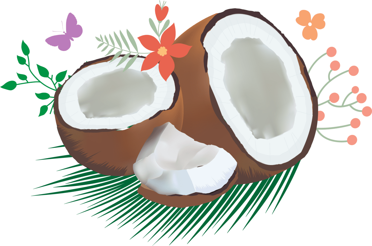 Cocoanut clipart coconat coconut oil full size image