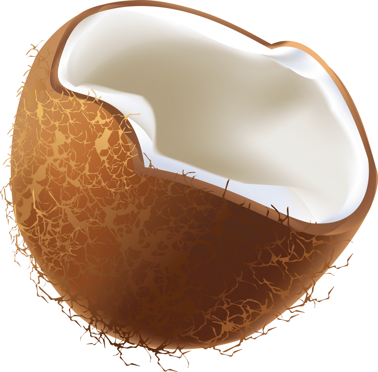 Coconut clipart background 2