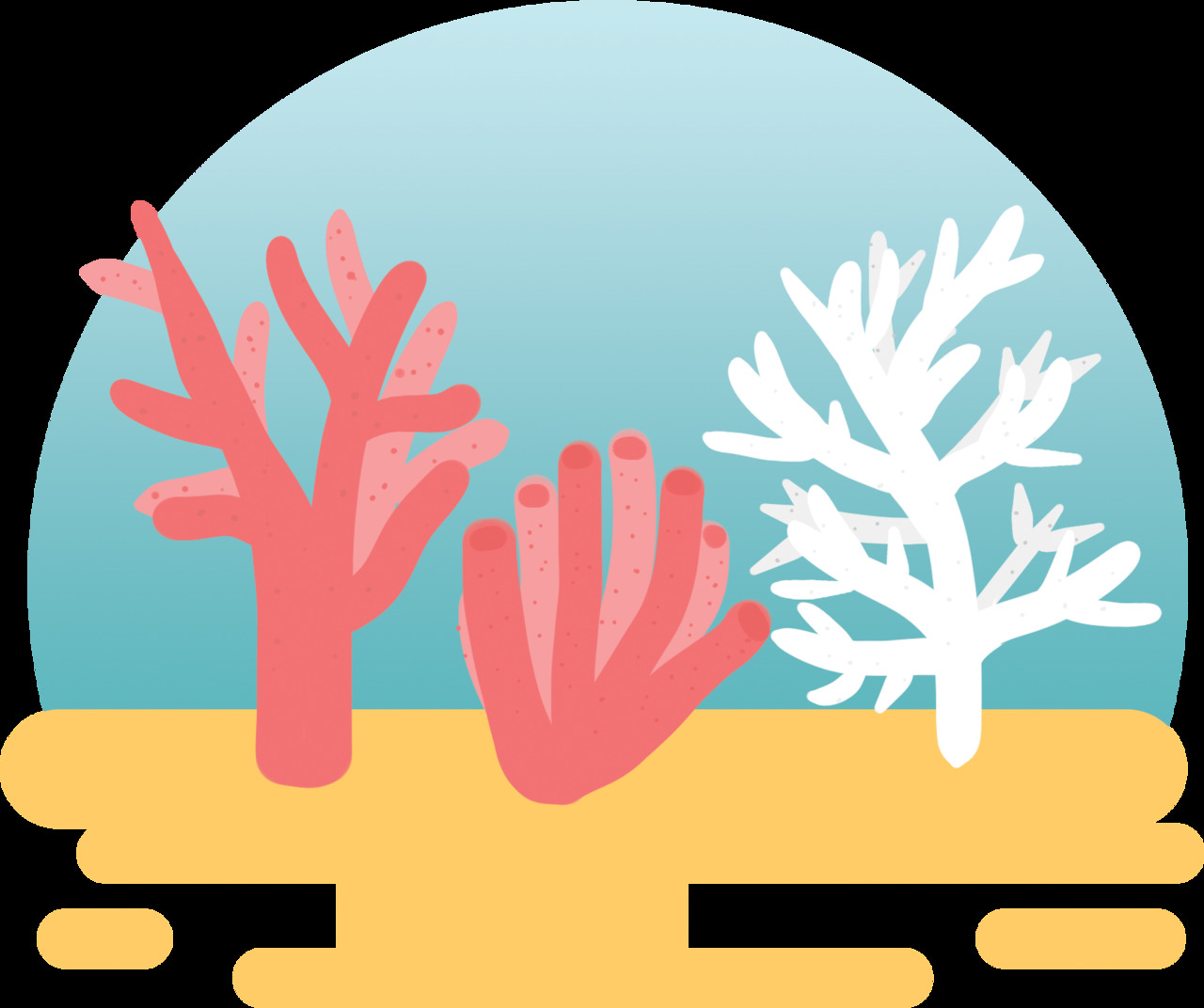 Colorful coral clipart image