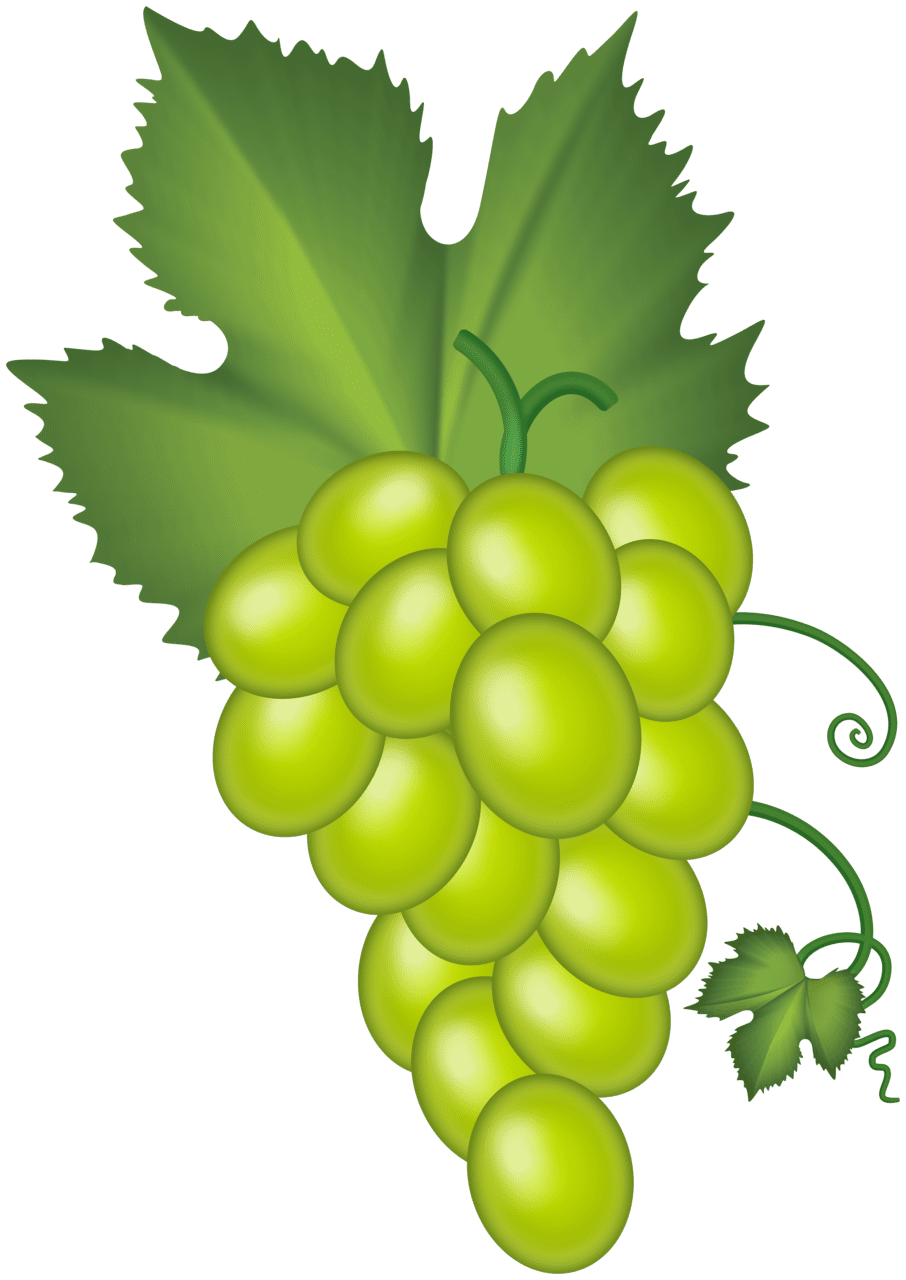 Fruits white grape cluster clipart best photo