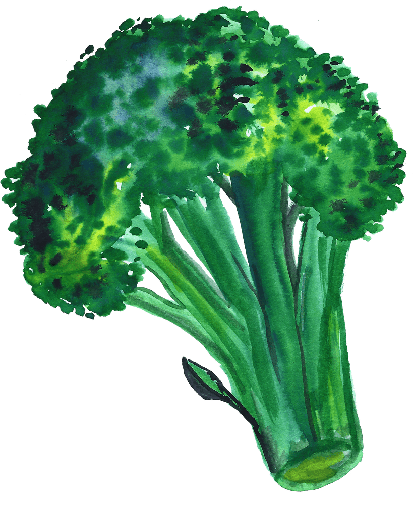 Broccoli stickers to match your personal style society clipart transparent