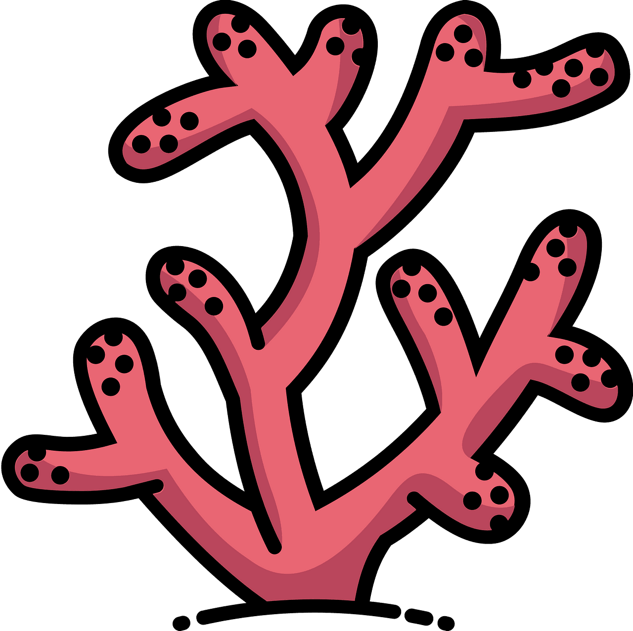 Coral vector clipart images 3