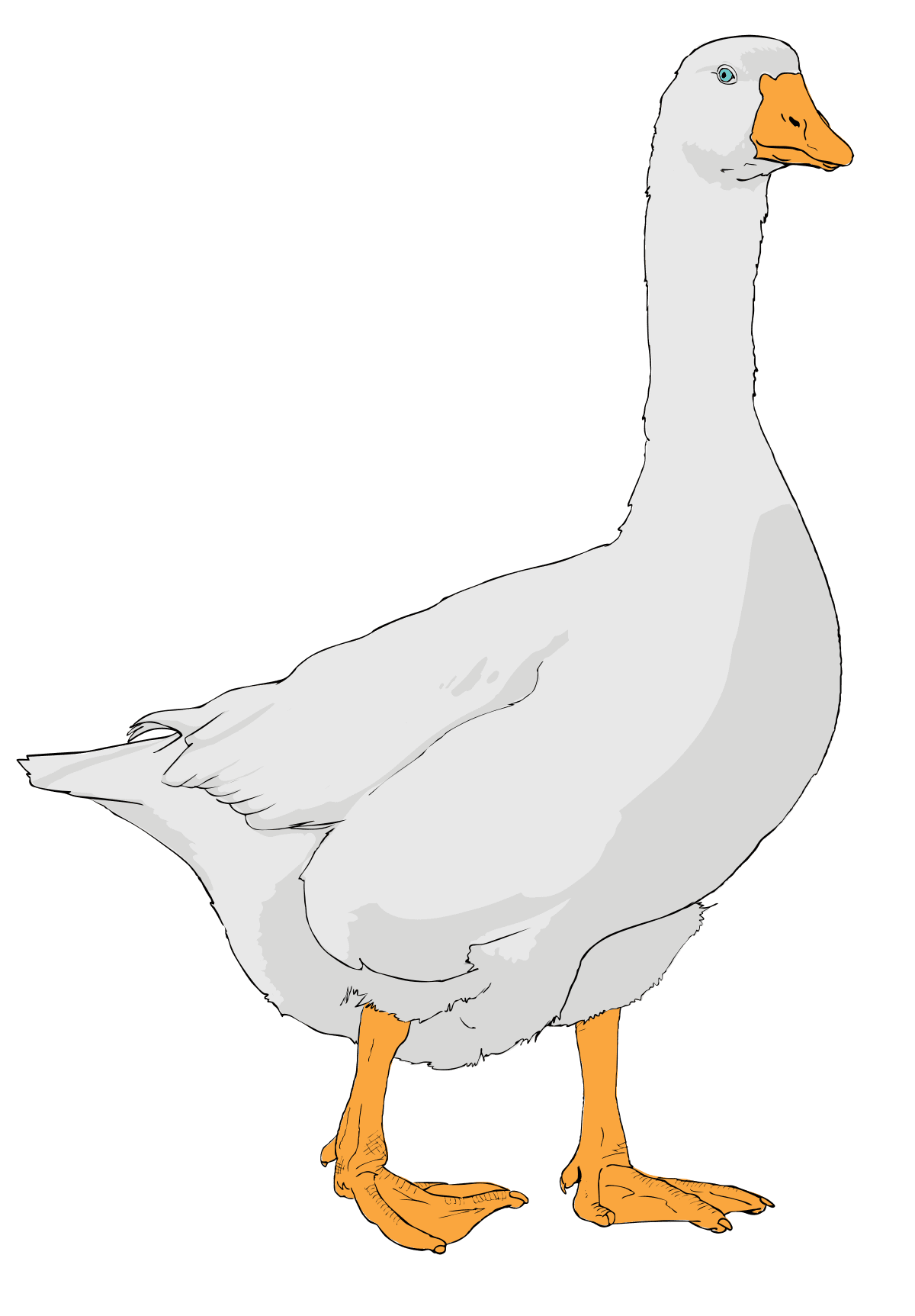Goose clipart free