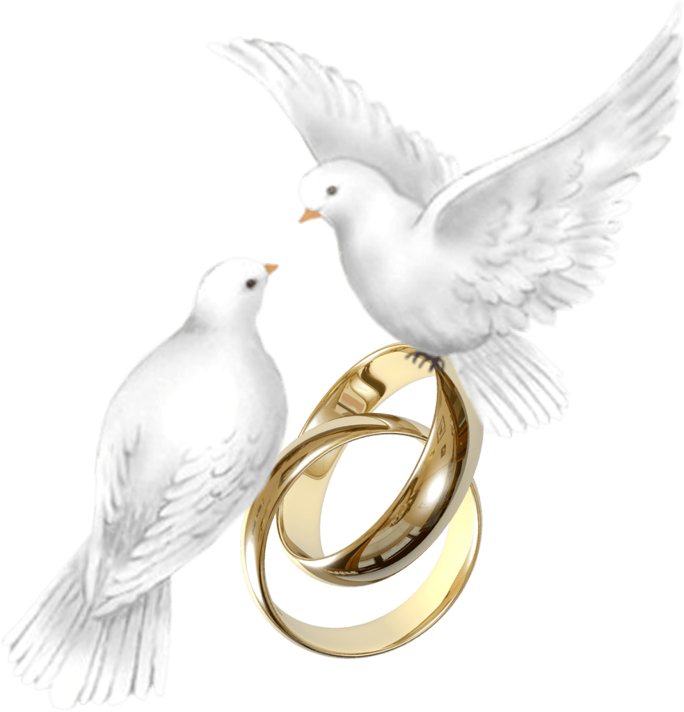 Wedding ring page clipart background