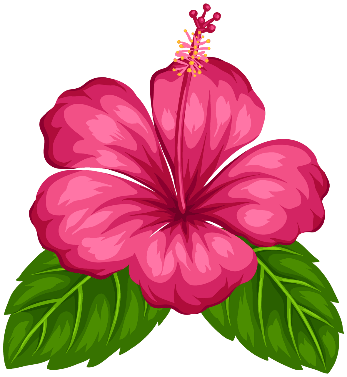 Hawaii exotic flower clipart best picture