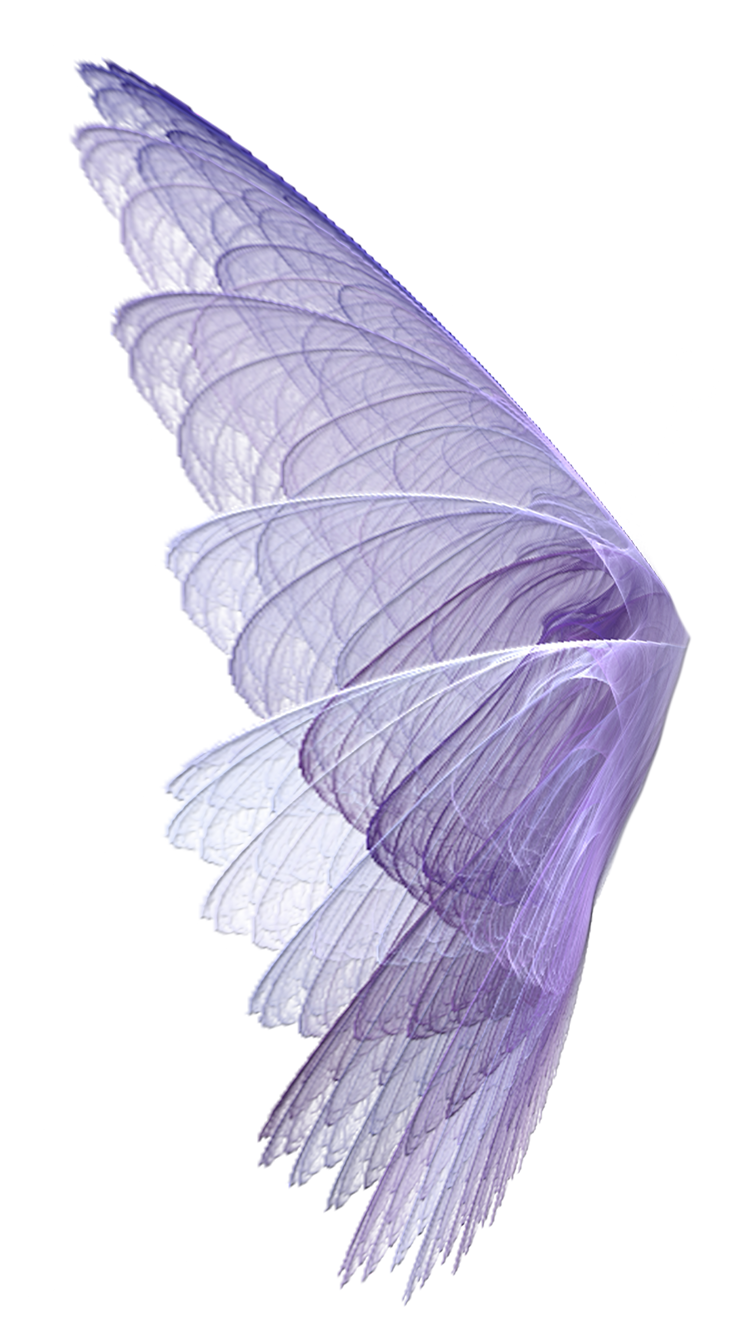 And purple material cartoon wings fantasy translucency transparency clipart clip art