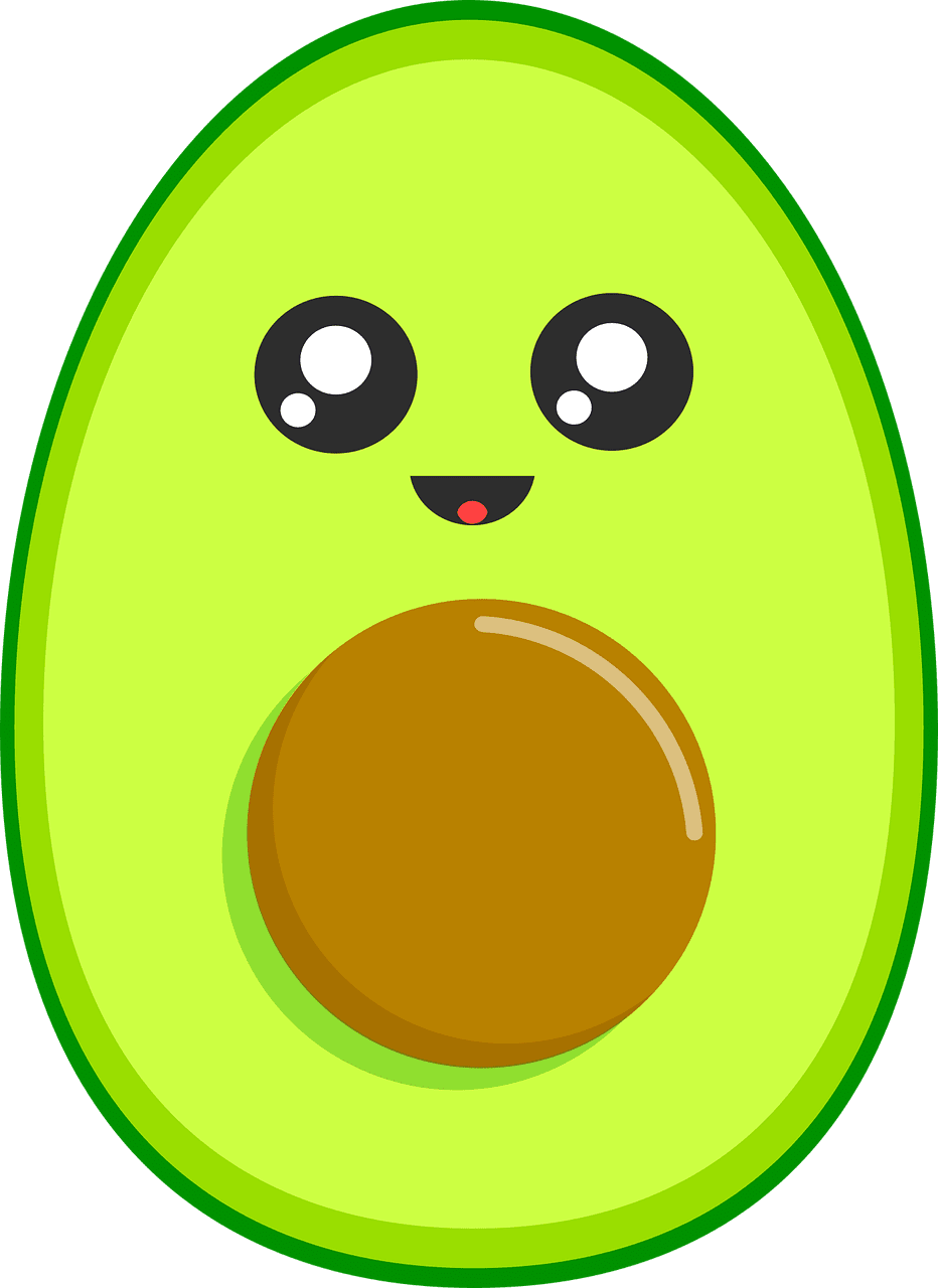 Avocado ip art clipart transparent