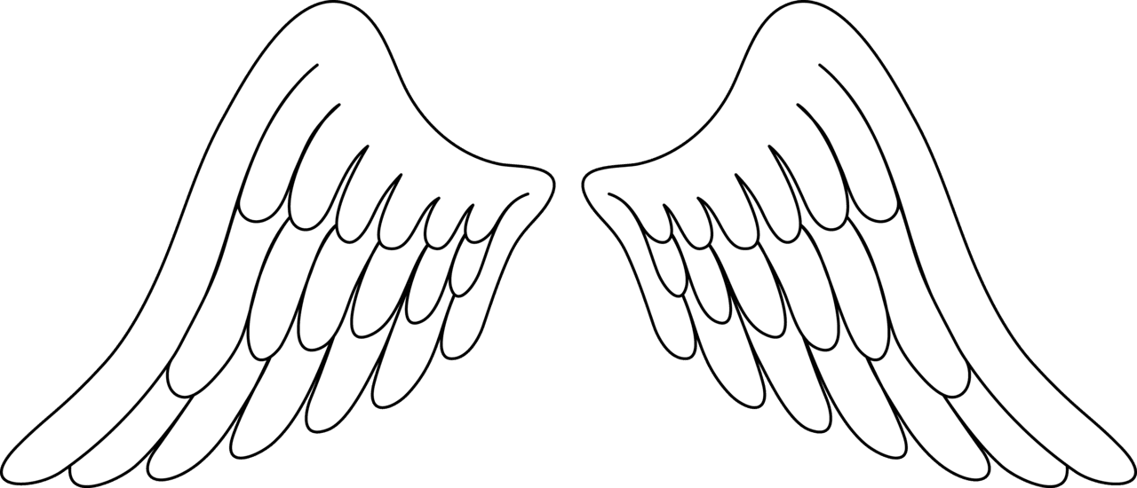 Angel wings wing clipart image