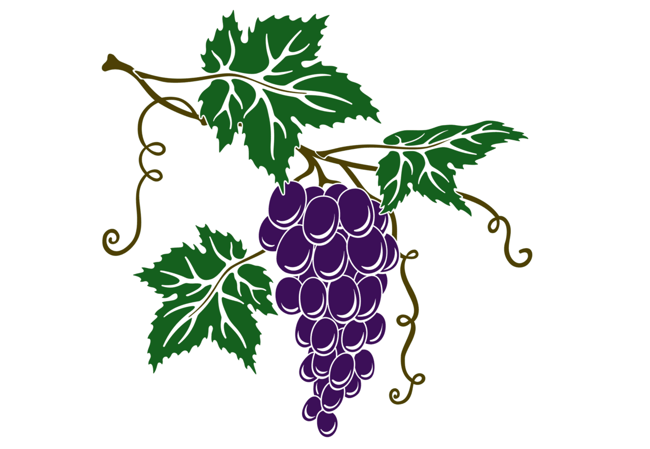 Vine cropped logo grapes trans bg tuscany inn tennessee clipart